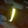 Reflective Collar - Image 2